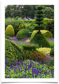 Topiary115 - Jackie Tucker